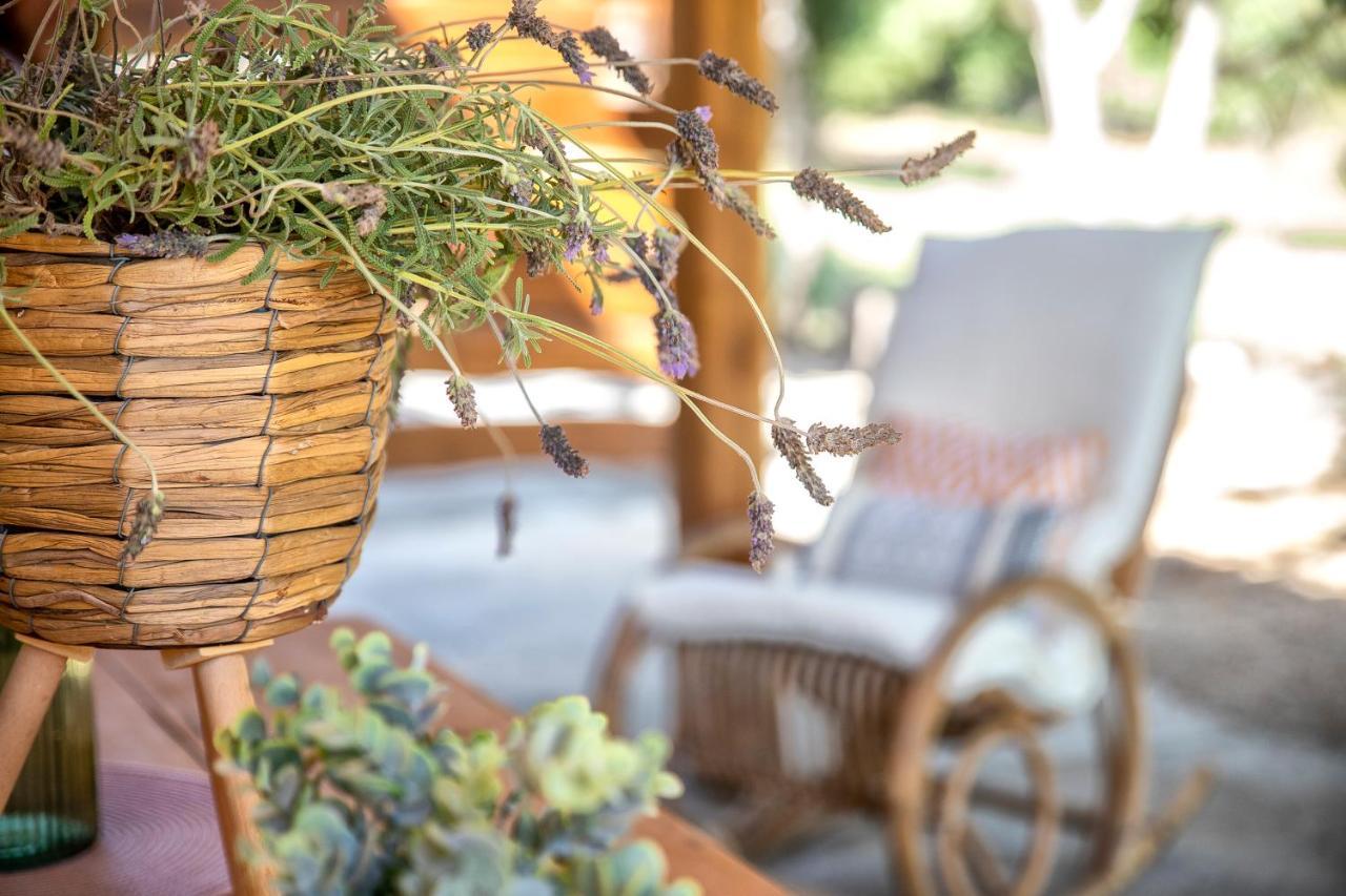 Sardinia Re - Casa Luisa With Pool Διαμέρισμα Αλγκέρο Εξωτερικό φωτογραφία