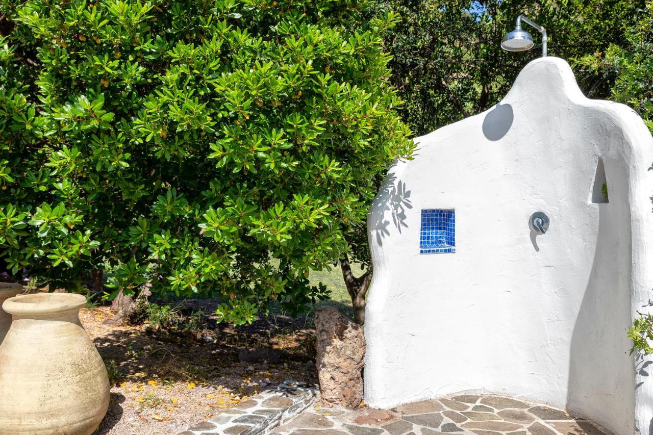 Sardinia Re - Casa Luisa With Pool Διαμέρισμα Αλγκέρο Εξωτερικό φωτογραφία